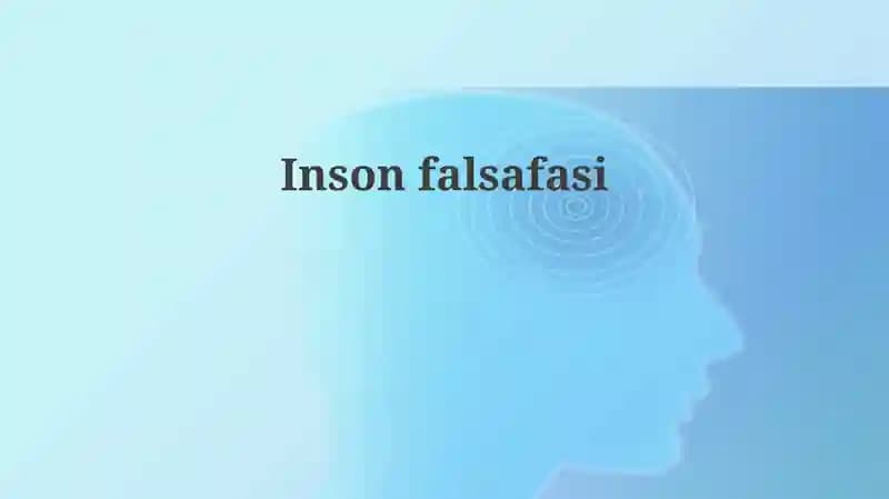 Insonfalsafasi
