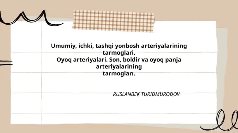Umumiy, ichki, tashqi yonbosh arteriyalarining tarmoglari