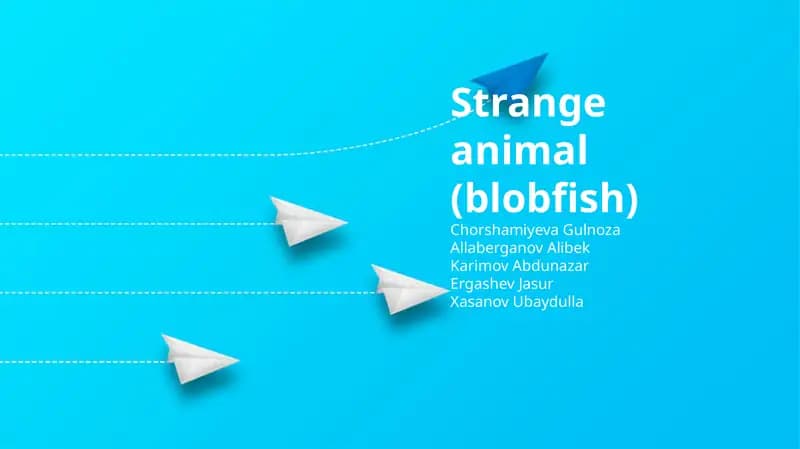 Strange animal (blobfish)