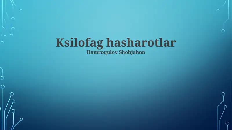Ksilofag hasharotlar