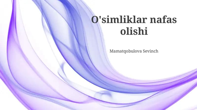 O'simliklar nafas olishi