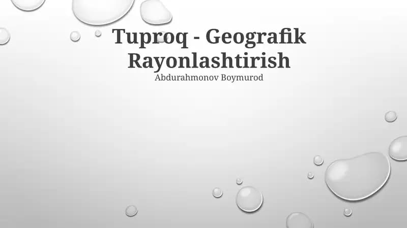 Tuproq - Geografik Rayonlashtirish