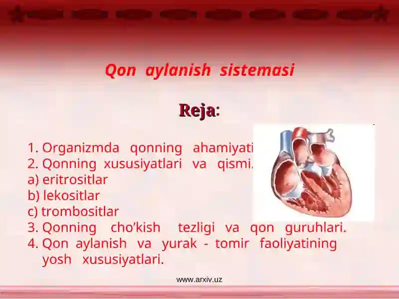 Qon aylanishsistemasi