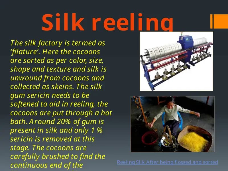 Silk reeling