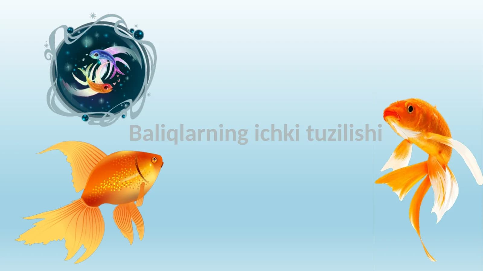 Baliqlarning ichki tuzilishi