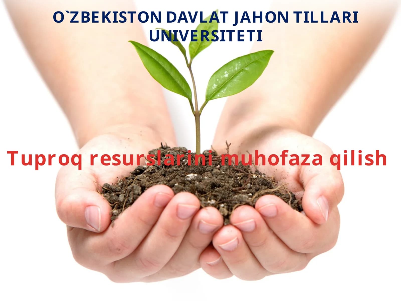 Tuproqresurslarinimuhofazaqilish