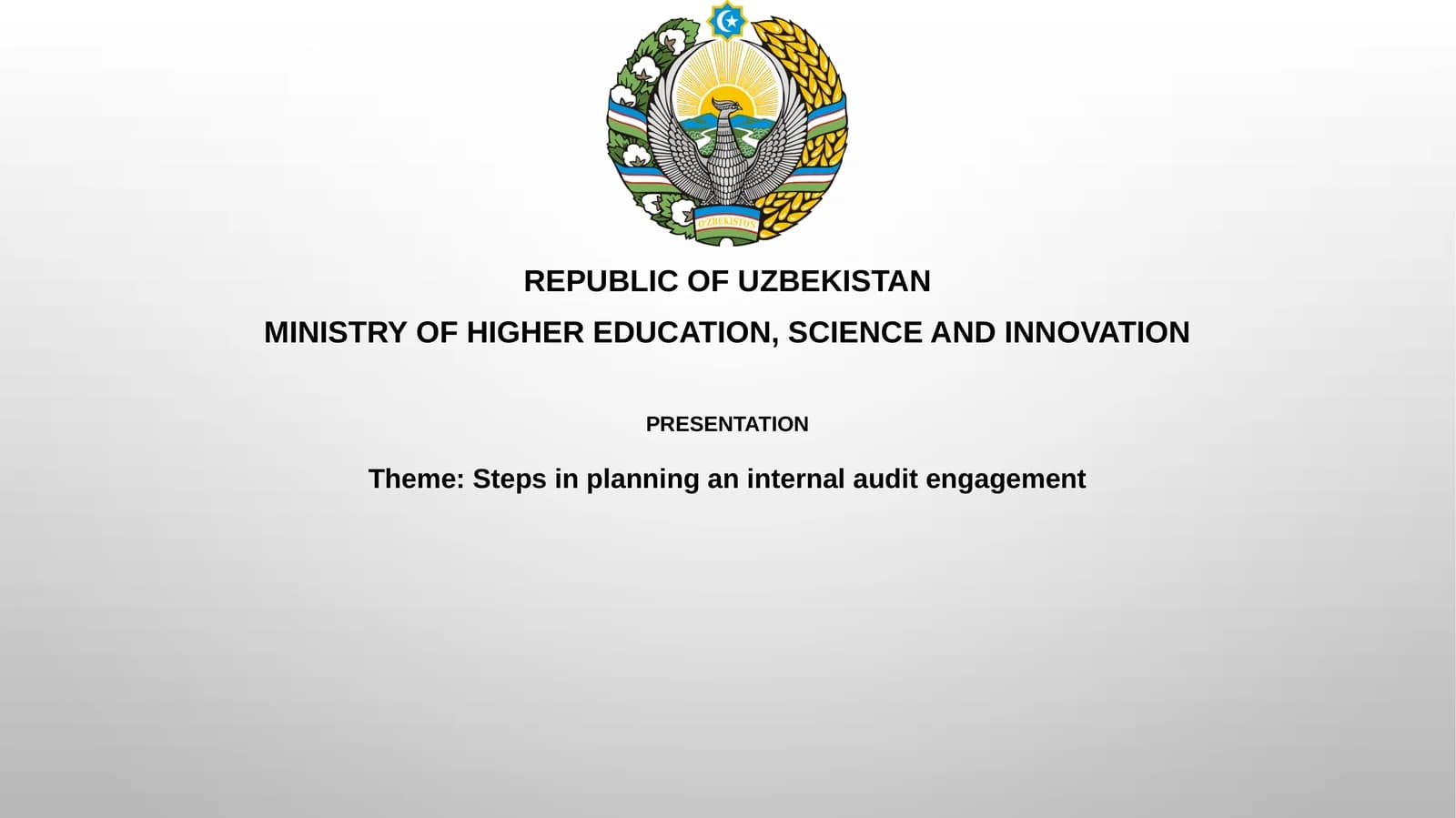 Steps in planning an internal audit engagement