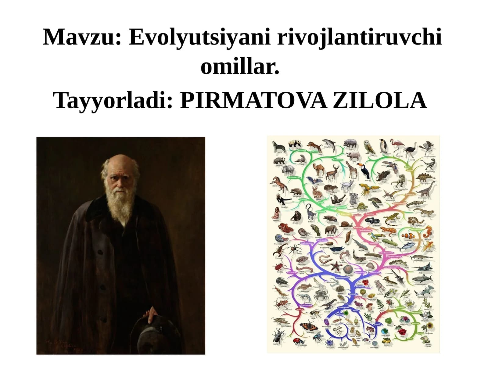 Evolyutsiyani rivojlantiruvchi omillar
