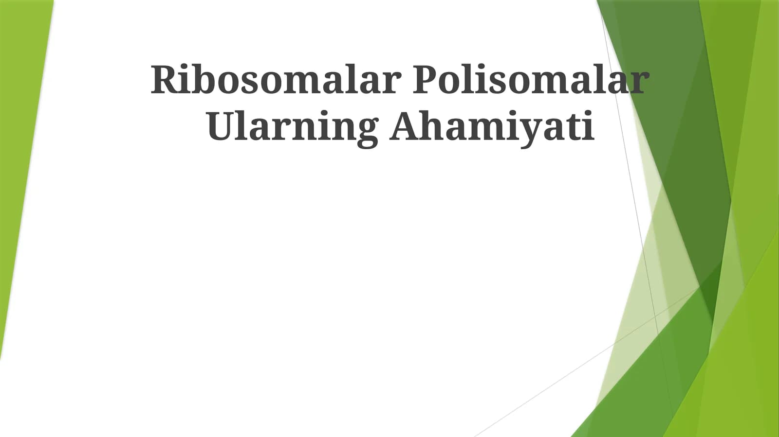 Ribosomalar Polisomalar Ularning Ahamiyati