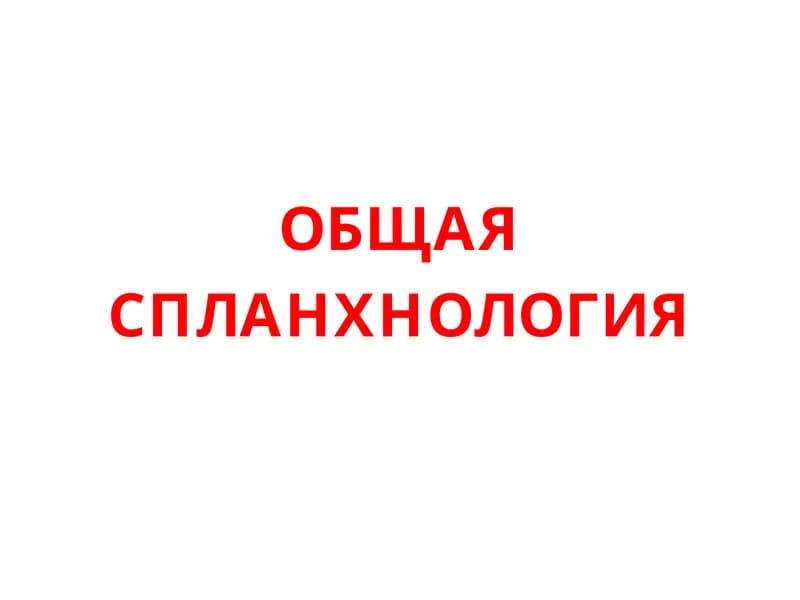 ОБЩАЯ СПЛАНХНОЛОГИЯ