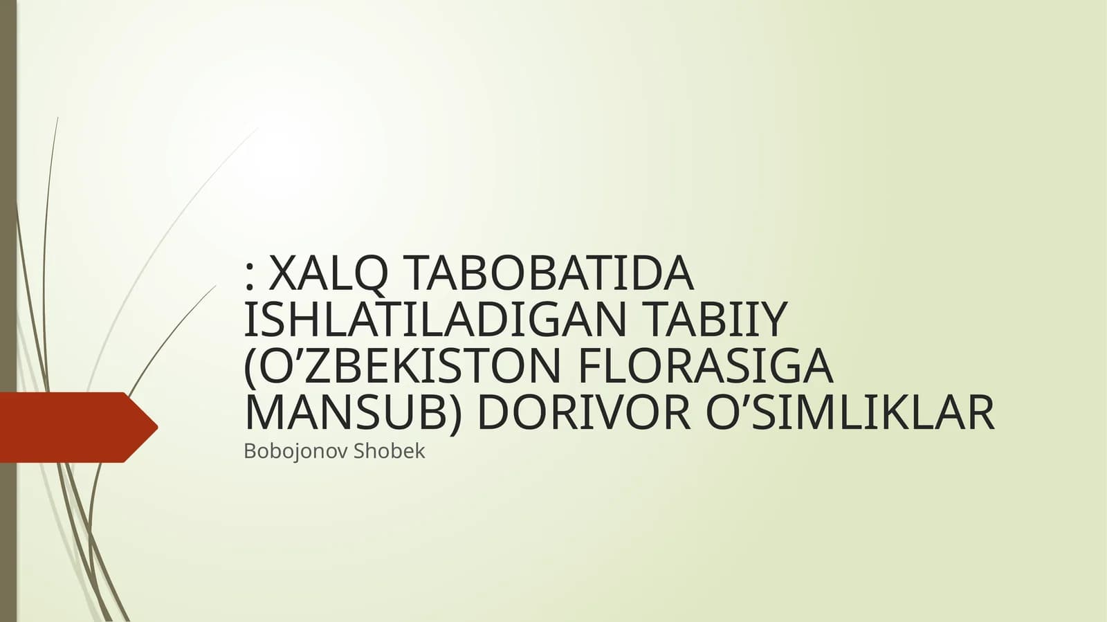 OSH PIYOZ TABOBATDA QO’LLANISHI