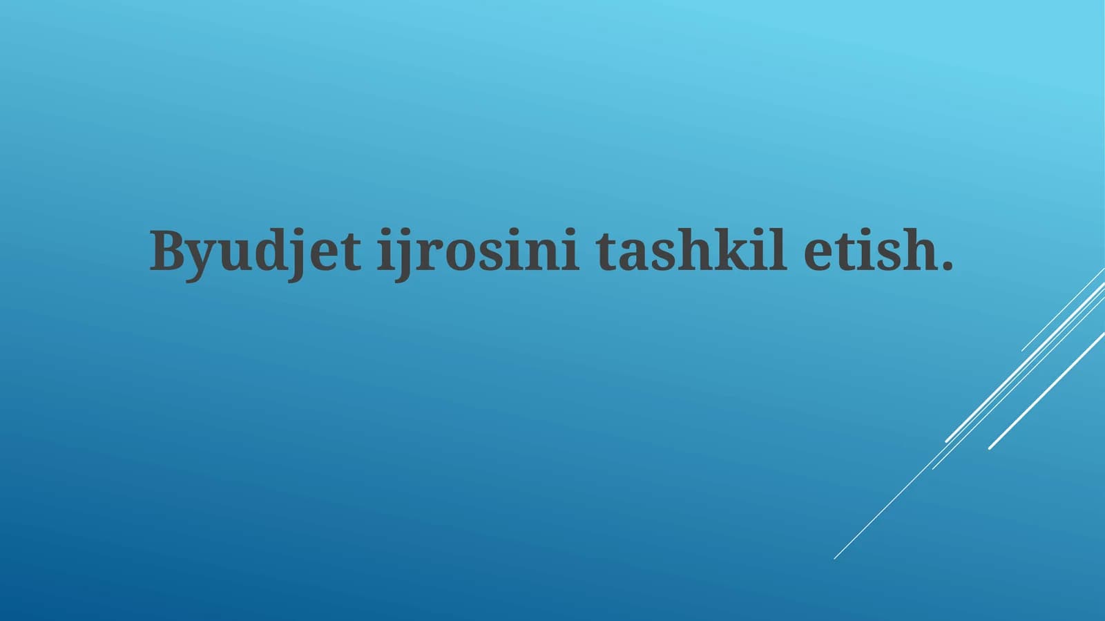 Byudjet ijrosini tashkil etish