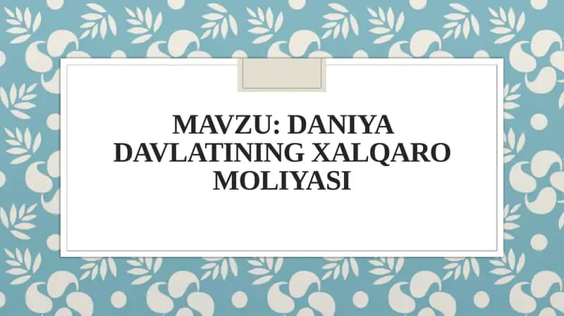 Daniyadavlatining xalqaro moliyasi