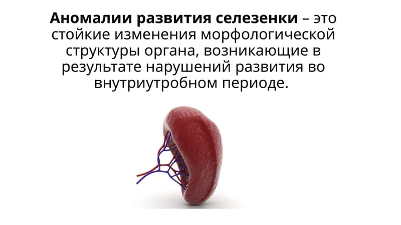 Taloq tug'ma nuqsonlari