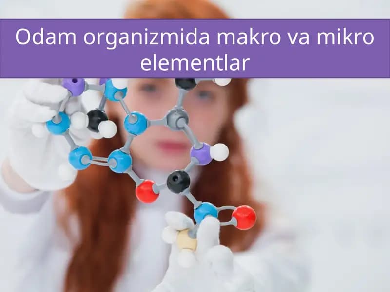 Odam organizmi damakro va mikro elementlar
