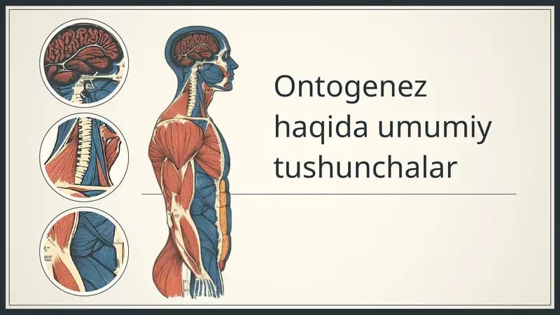 Ontogenez haqida umumiy tushunchalar