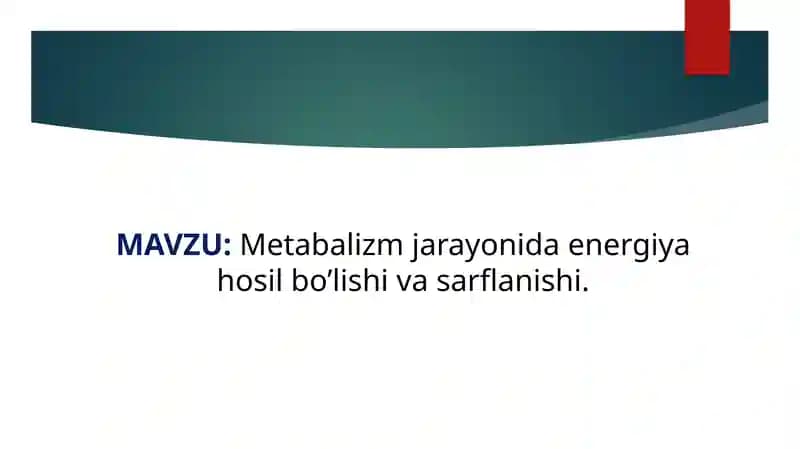 Metabalizm jarayonida energiya hosil bo’lishi va sarflanishi