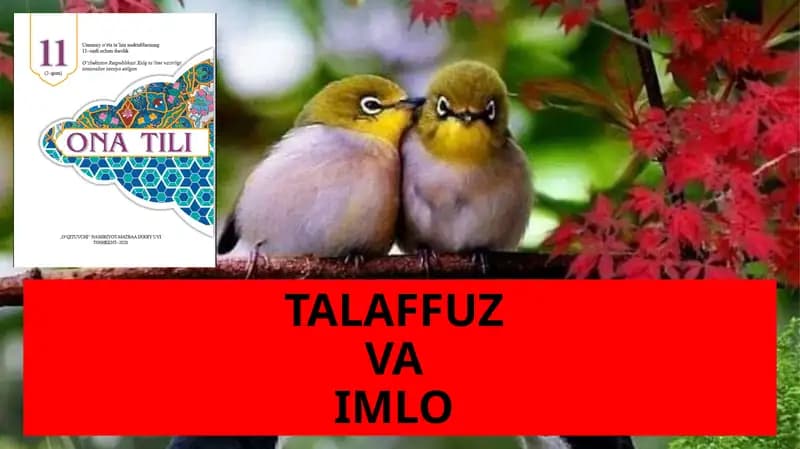 TALAFFUZ VA IMLO