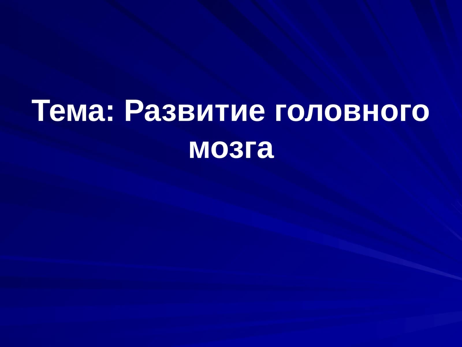 Развитие головного мозга