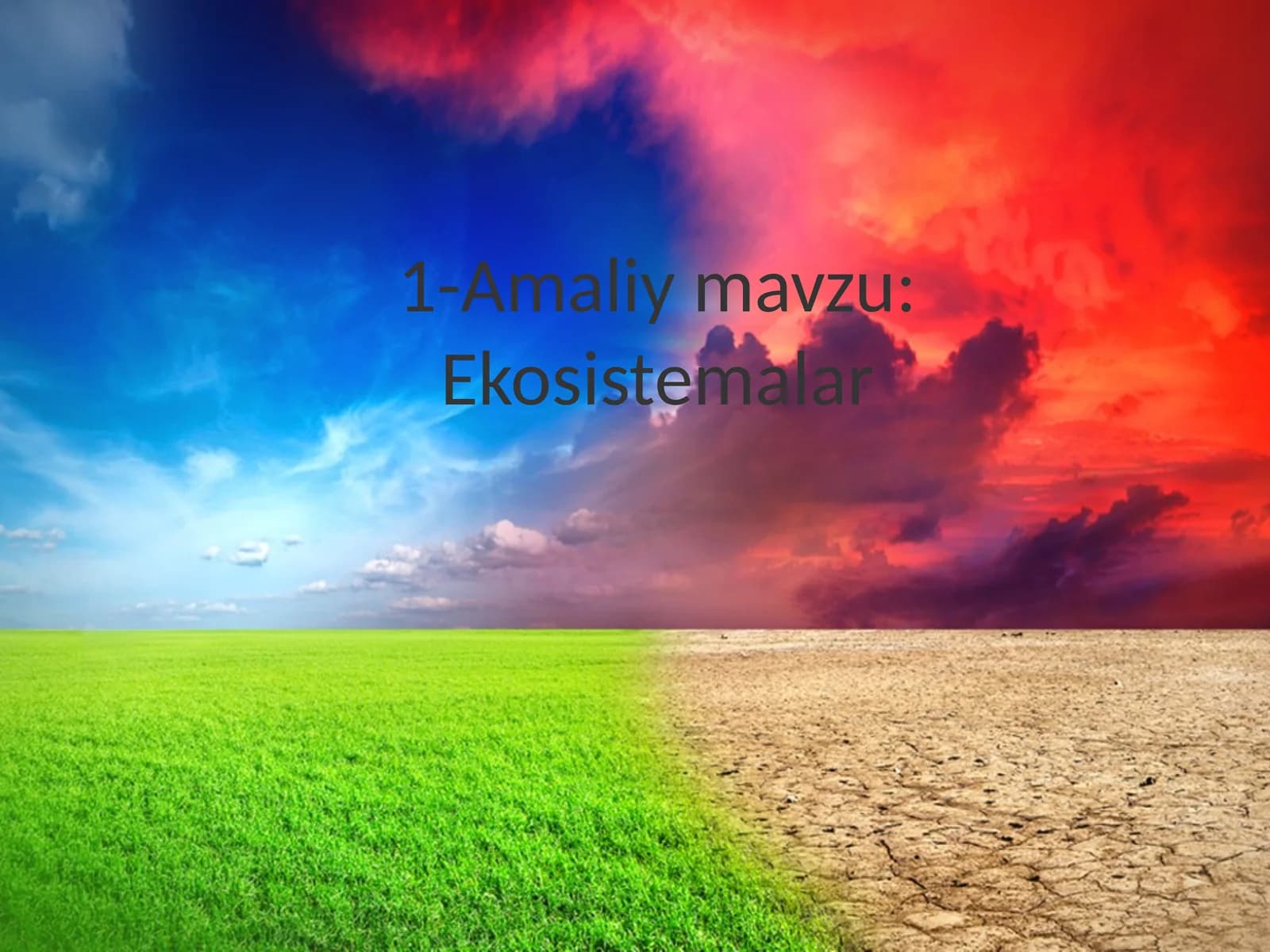 Ekosistemalar