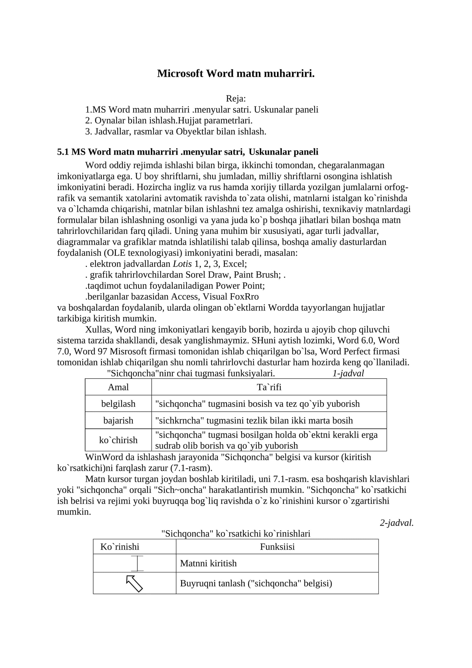 MS Word matn muharriri