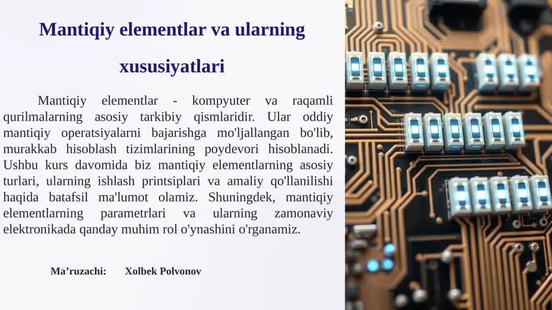 Mantiqiy elementlar va ularning xususiyatlari