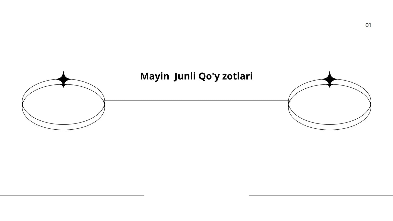 Mayin Junli Qo'y zotlari