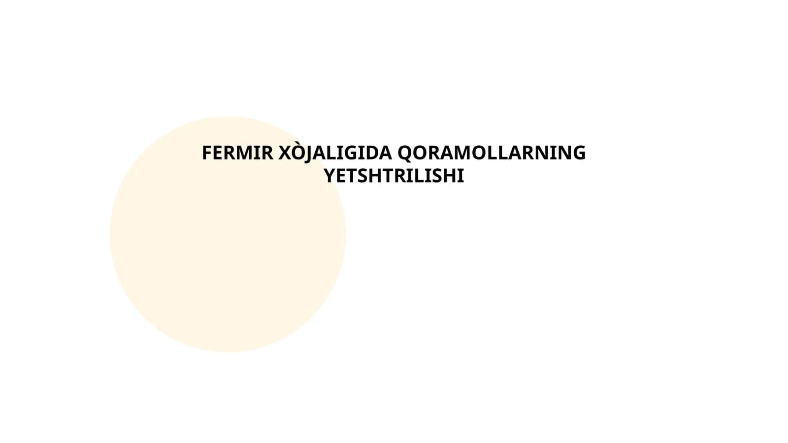 Qoramol zoti tanlash