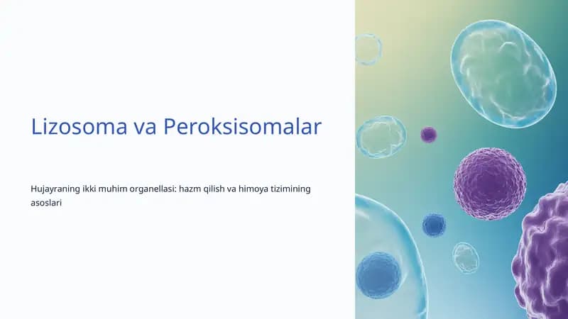 Lizosoma va Peroksisomalar
