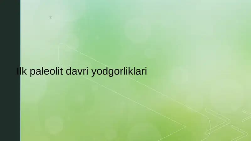 Ilk paleolit davri yodgorliklari