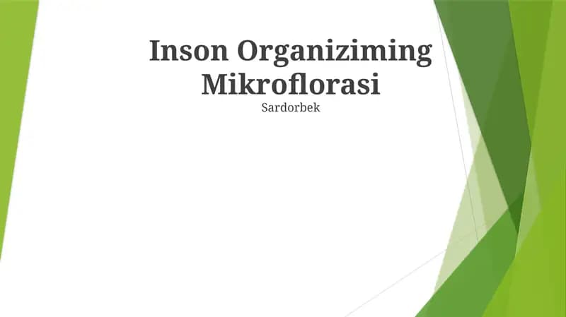 Inson Organiziming Mikroflorasi
