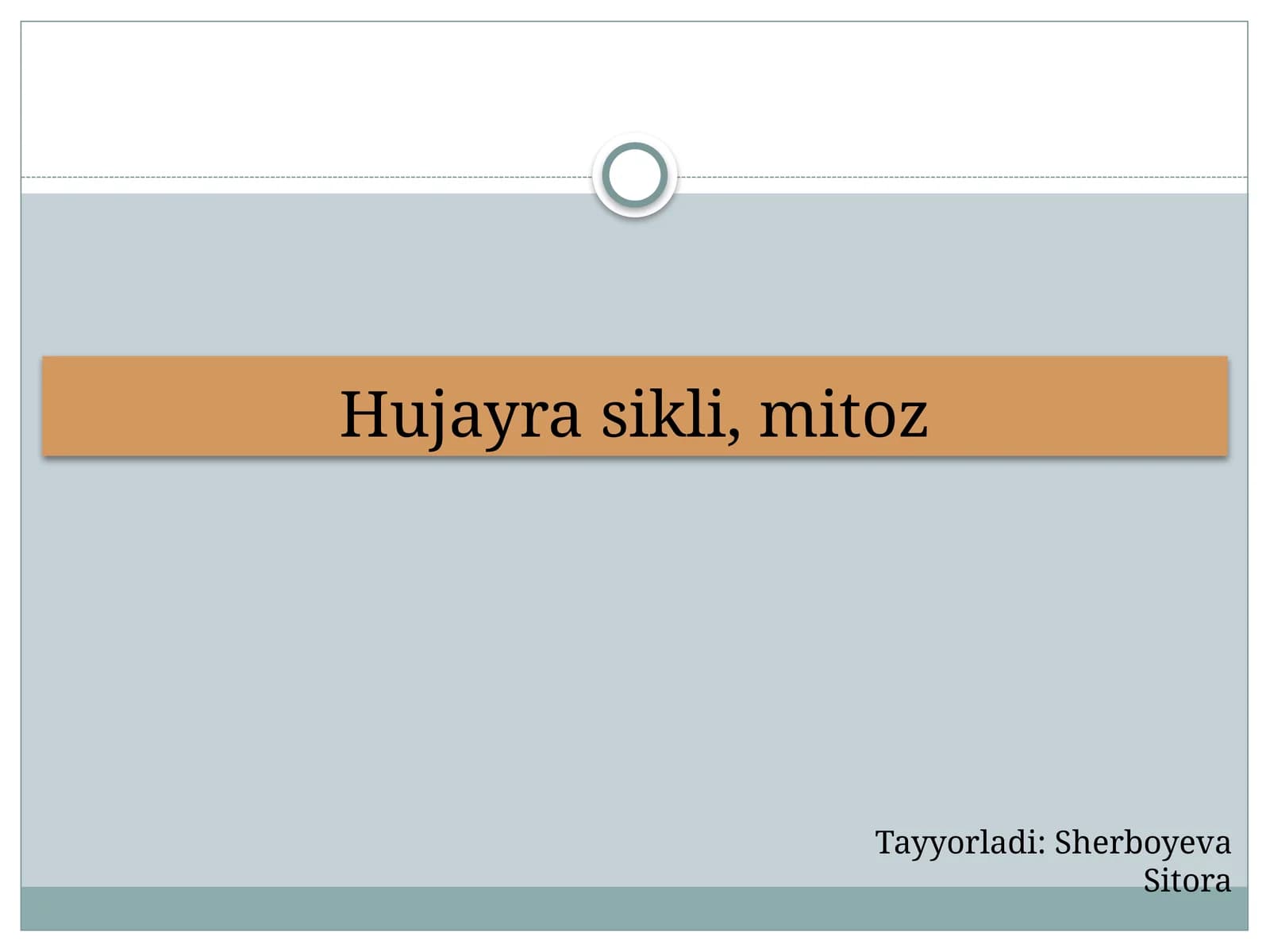 Hujayrasikli, mitoz