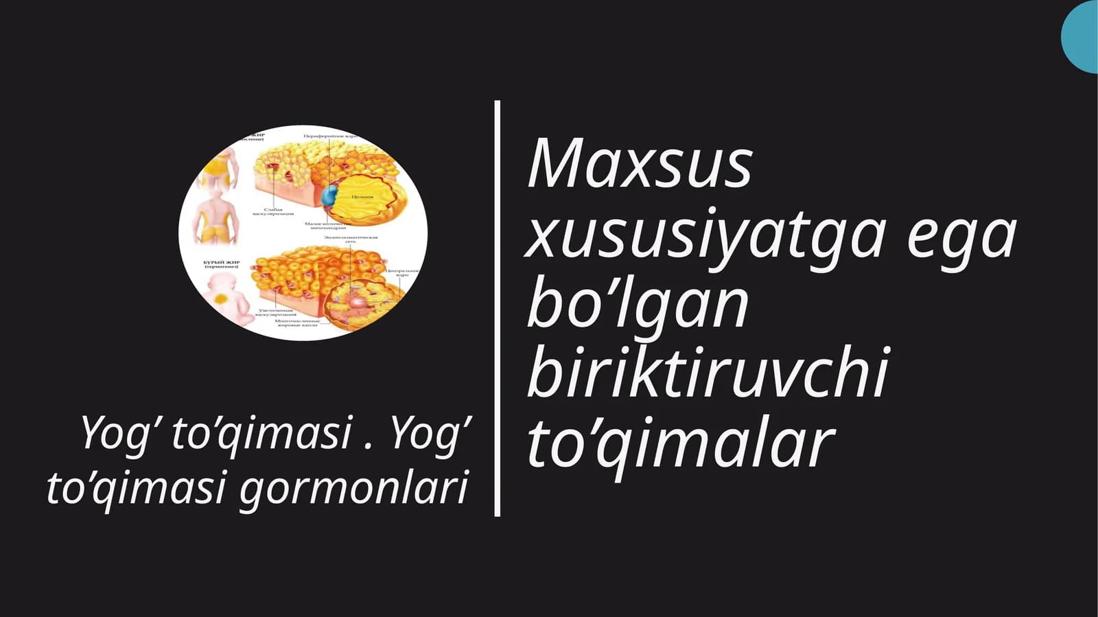 Prezentatsiya