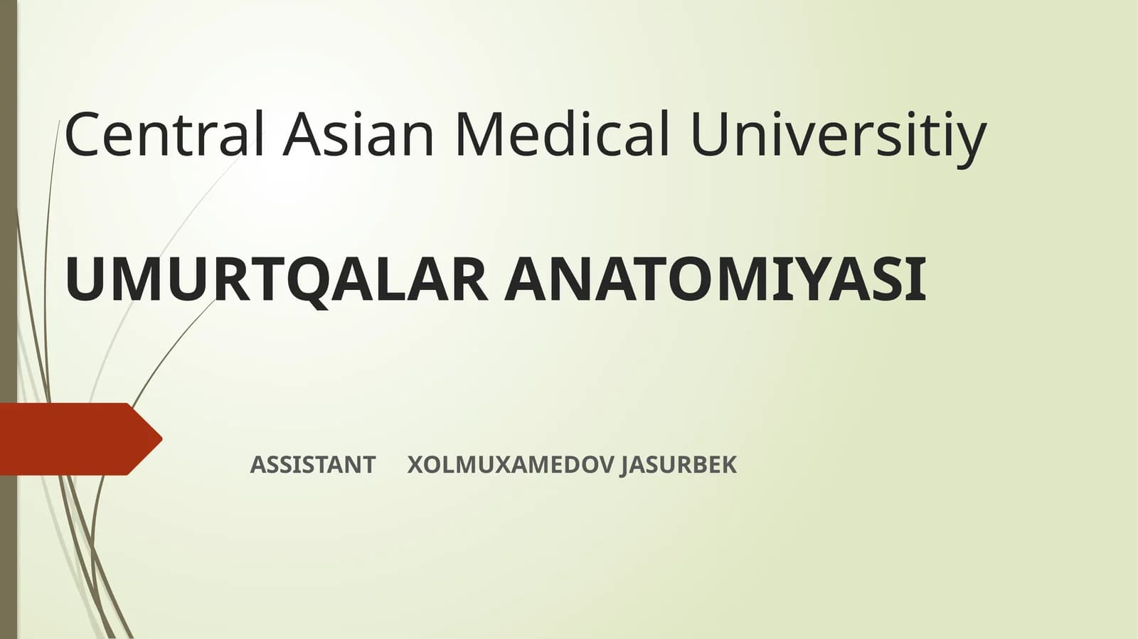 UMURTQALAR ANATOMIYASI