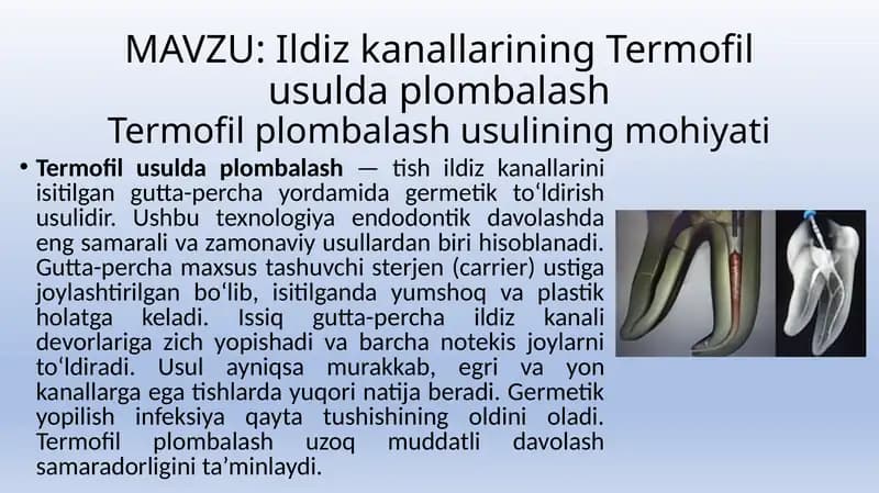 Ildiz kanallarining Termofil usulda plombalash
