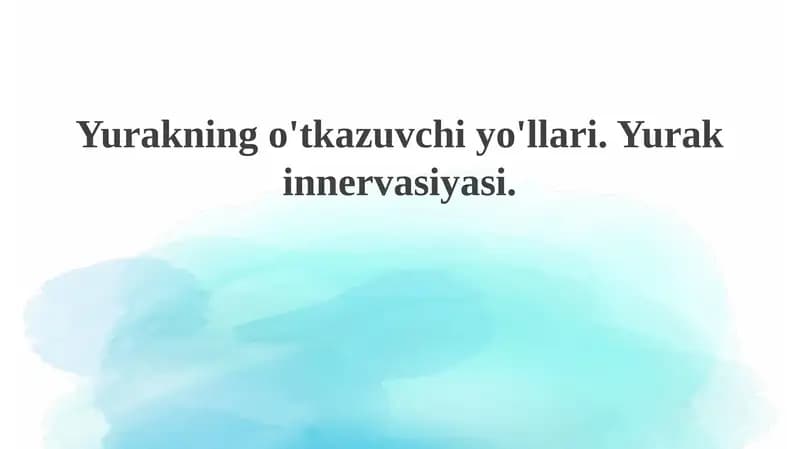 Yurakningo'tkazuvchiyo'llari