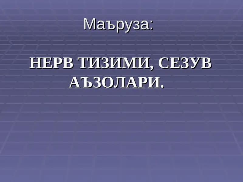 НЕРВ ТИЗИМИ,СЕЗУВ АЪЗОЛАРИ