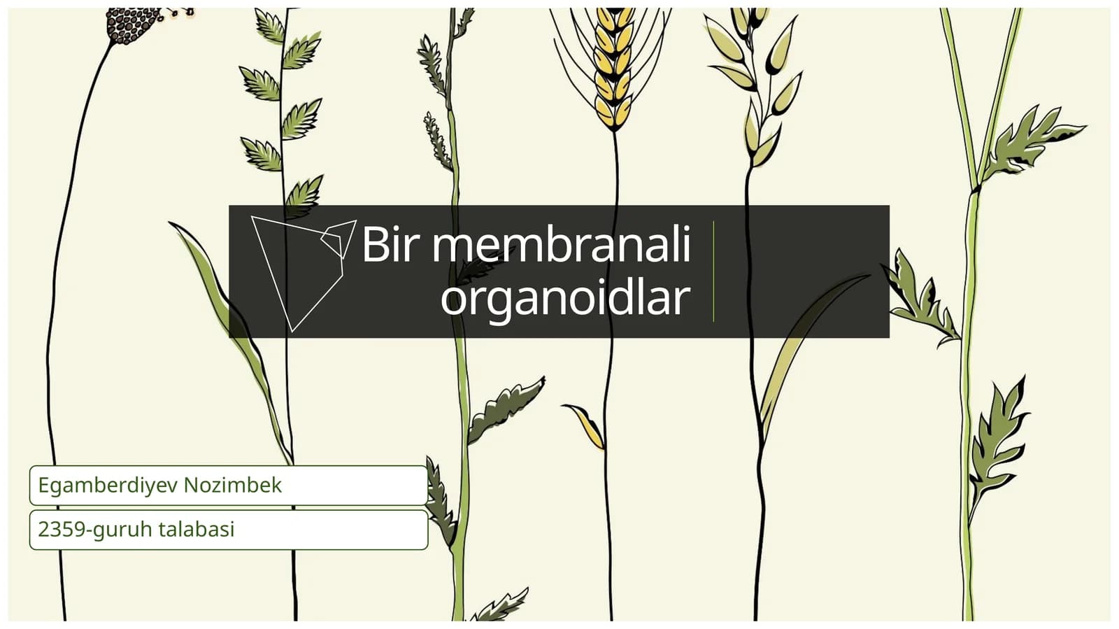 Bir membranali organoidlar