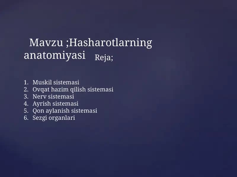 Hasharotlarning anatomiyasi