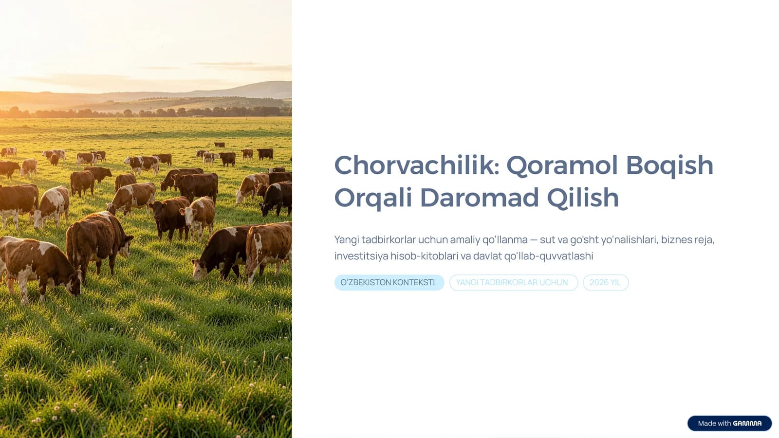 Chorvachilik: Qoramol Boqish Orqali Daromad Qilish