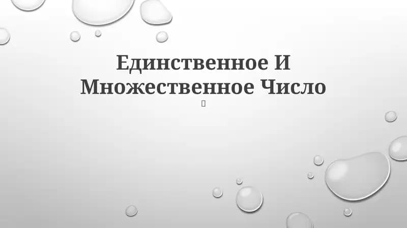 Единственное И Множественное Число