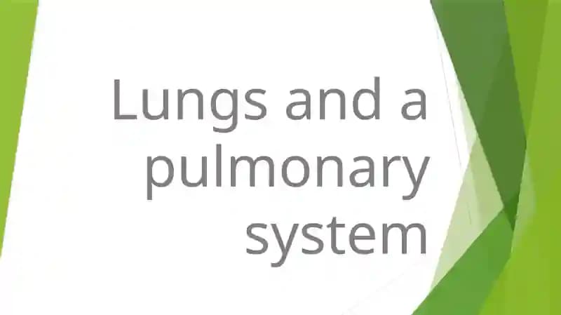 Pulmonary System