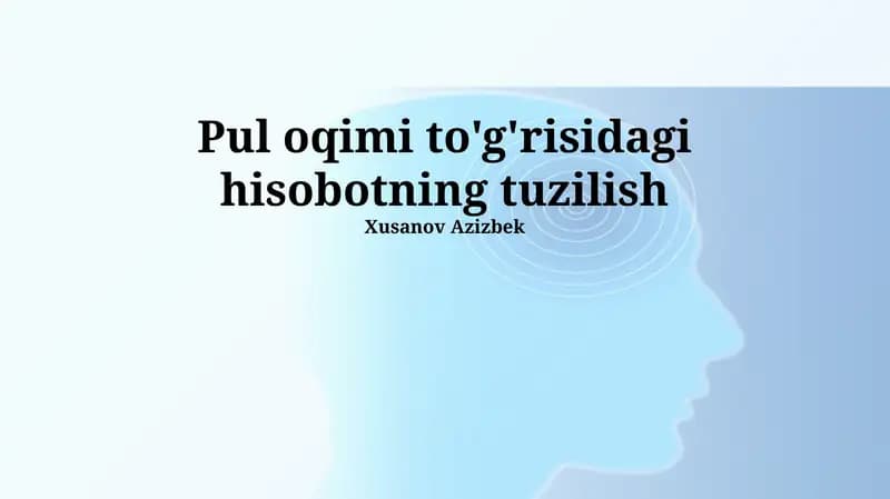 Pul oqimi to'g'risidagi hisob