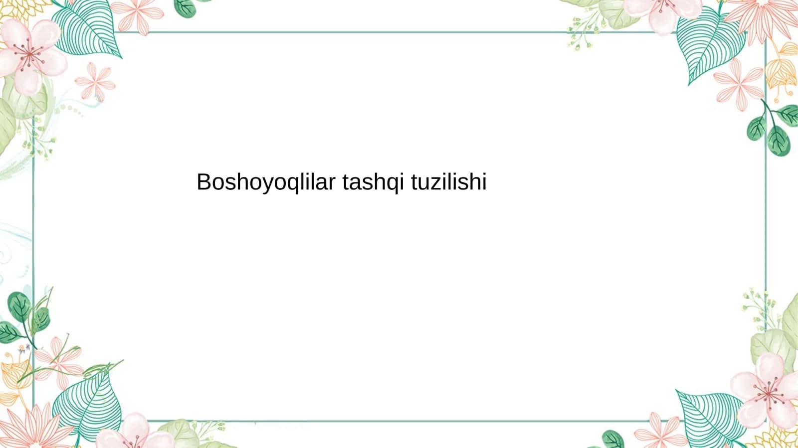 Boshoyoqli mollyuskalar (Cephalopoda)