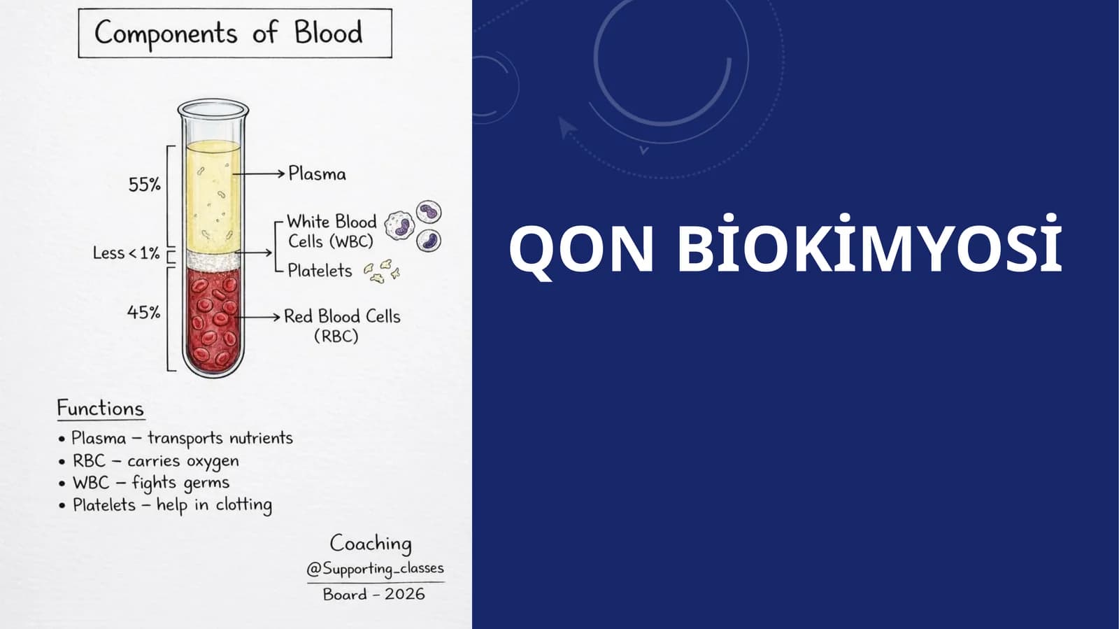Qon biokimyosi