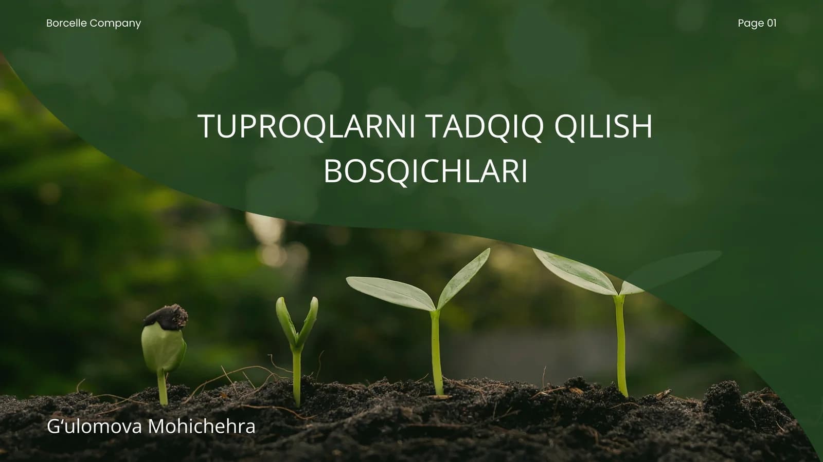 TUPROQLARNI TADQIQ QILISH BOSQICHLARI