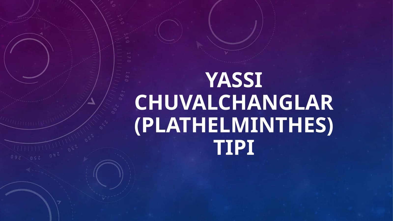 Yassi chuvalchanglar (Plathelminthes) tipi