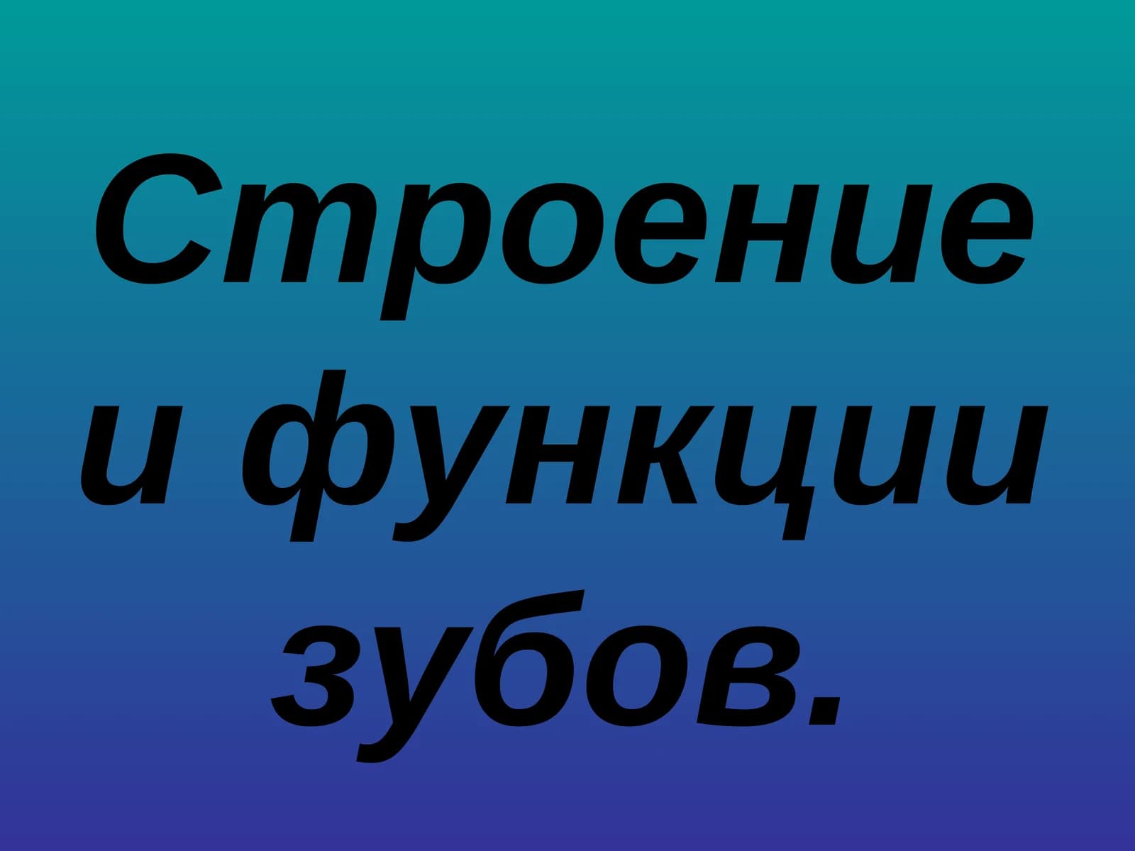 Строение и функции зубов