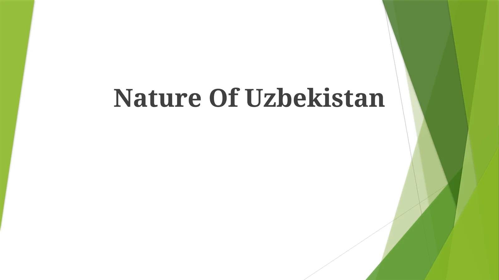 Nature Of Uzbekistan