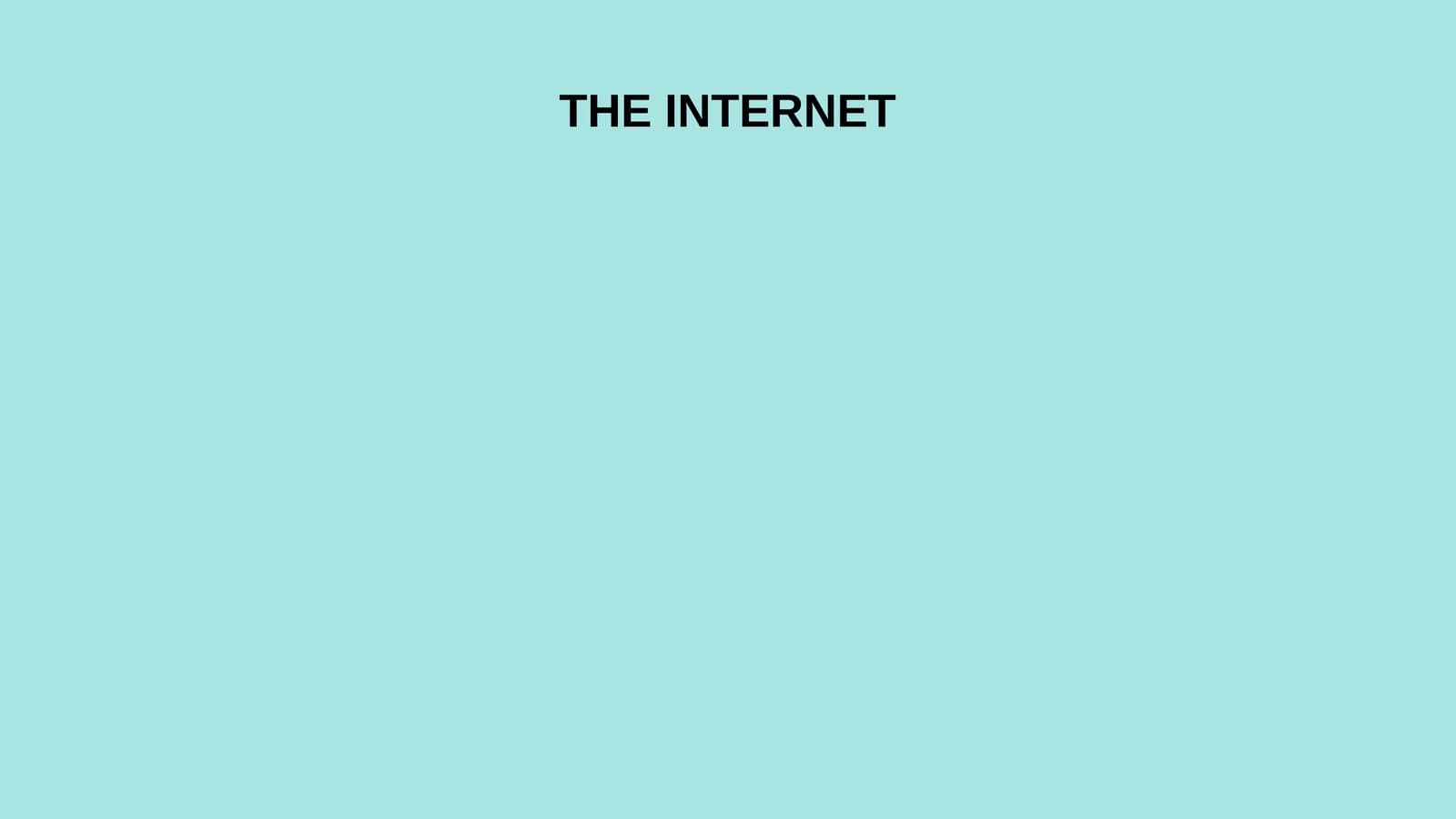 THE INTERNET